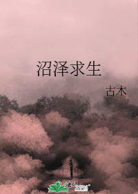 桑榆暮影